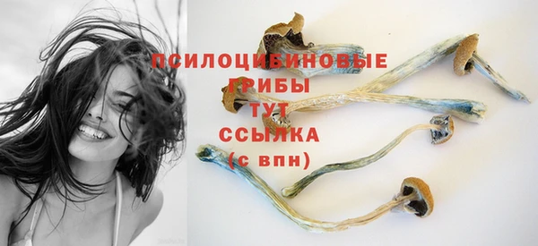 мескалин Горняк
