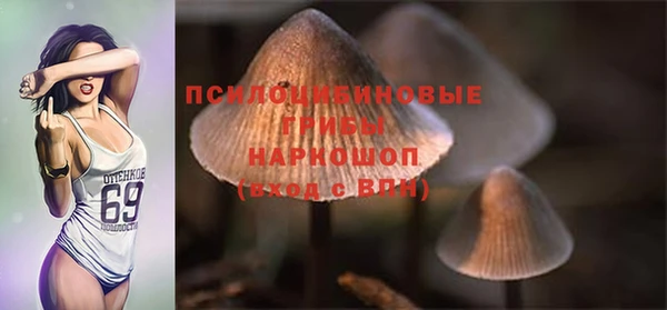ALPHA-PVP Горнозаводск