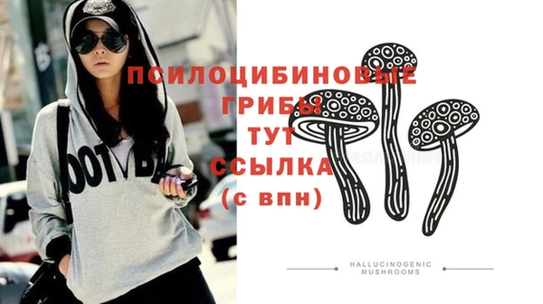 прущая мука Горно-Алтайск