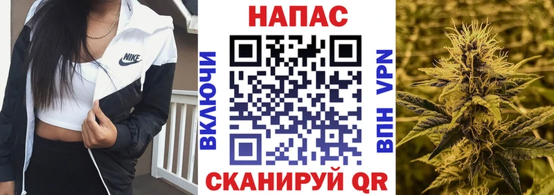 Купить закладки  Полярный  Бошки Шишки Ganja 